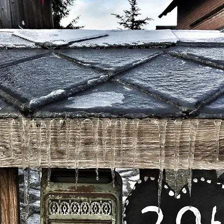 Landhaus Vogtland *